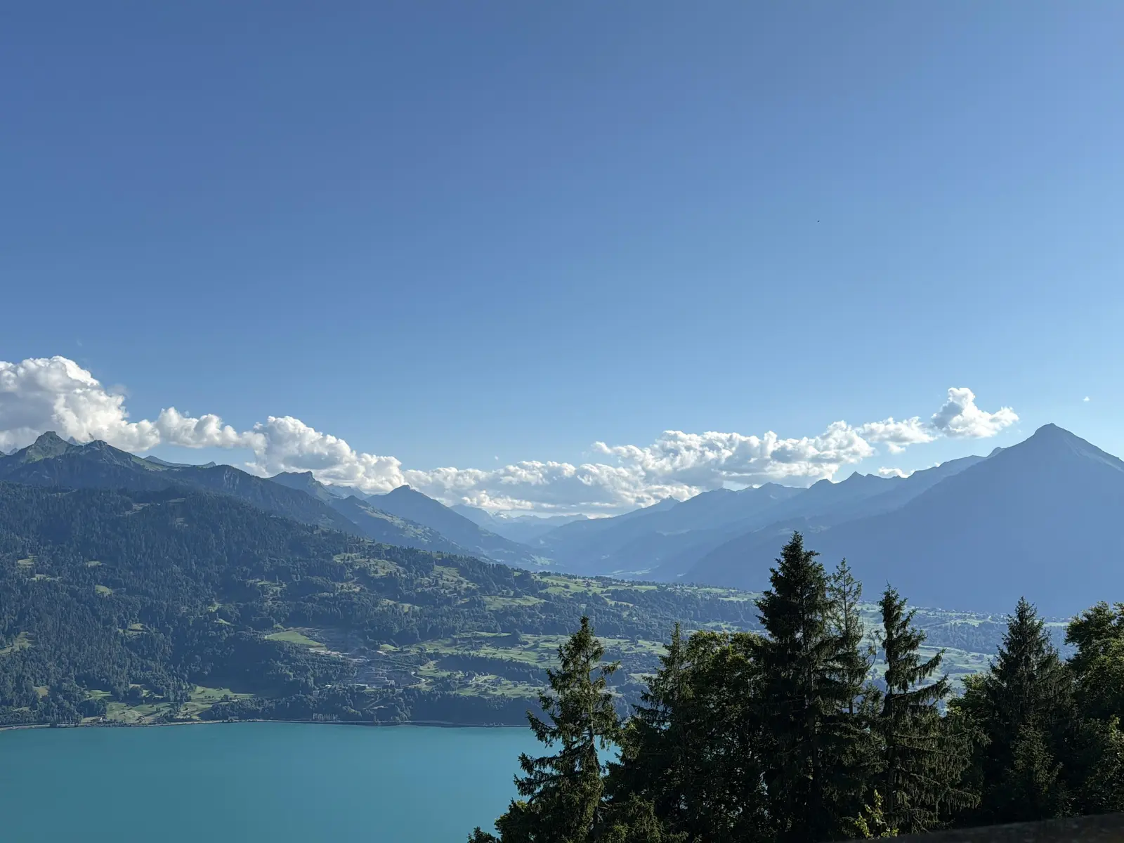Blick von Beatenberg über den Thunersee zum Niesen im Berner Oberland – eigenes Urlaubsfoto