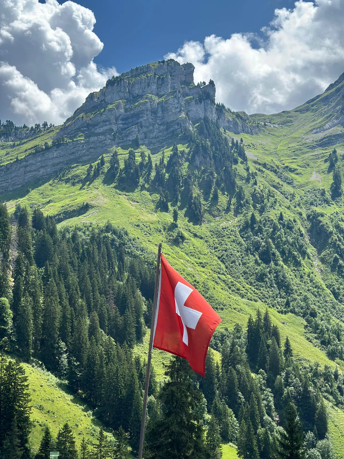 Grüne Berglandschaft mit Felsen und Schweizer Flagge bei einer Wanderung im Berner Oberland.